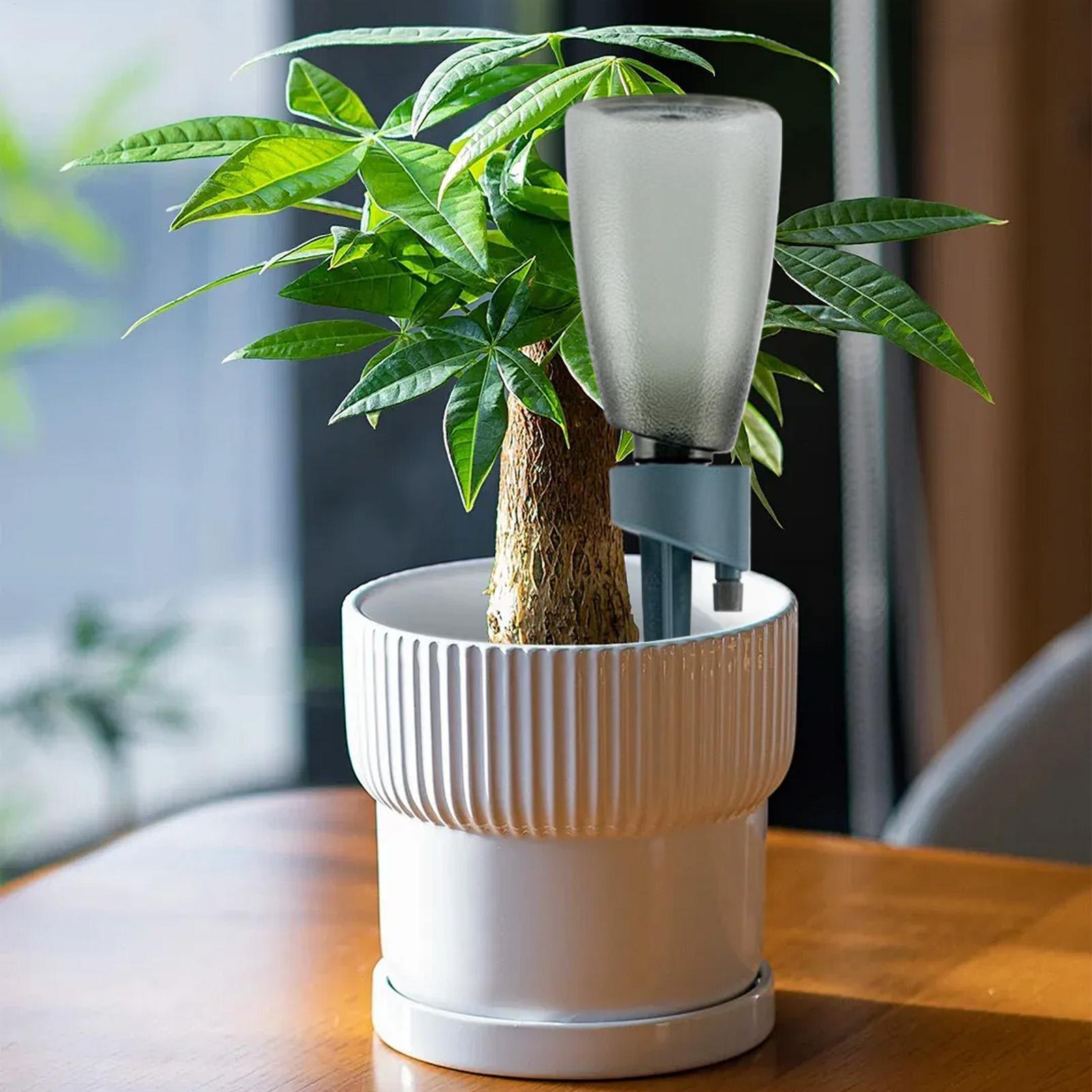 Set di 6 Irrigatori Automatici - Self Watering Insert recensione e prezzo