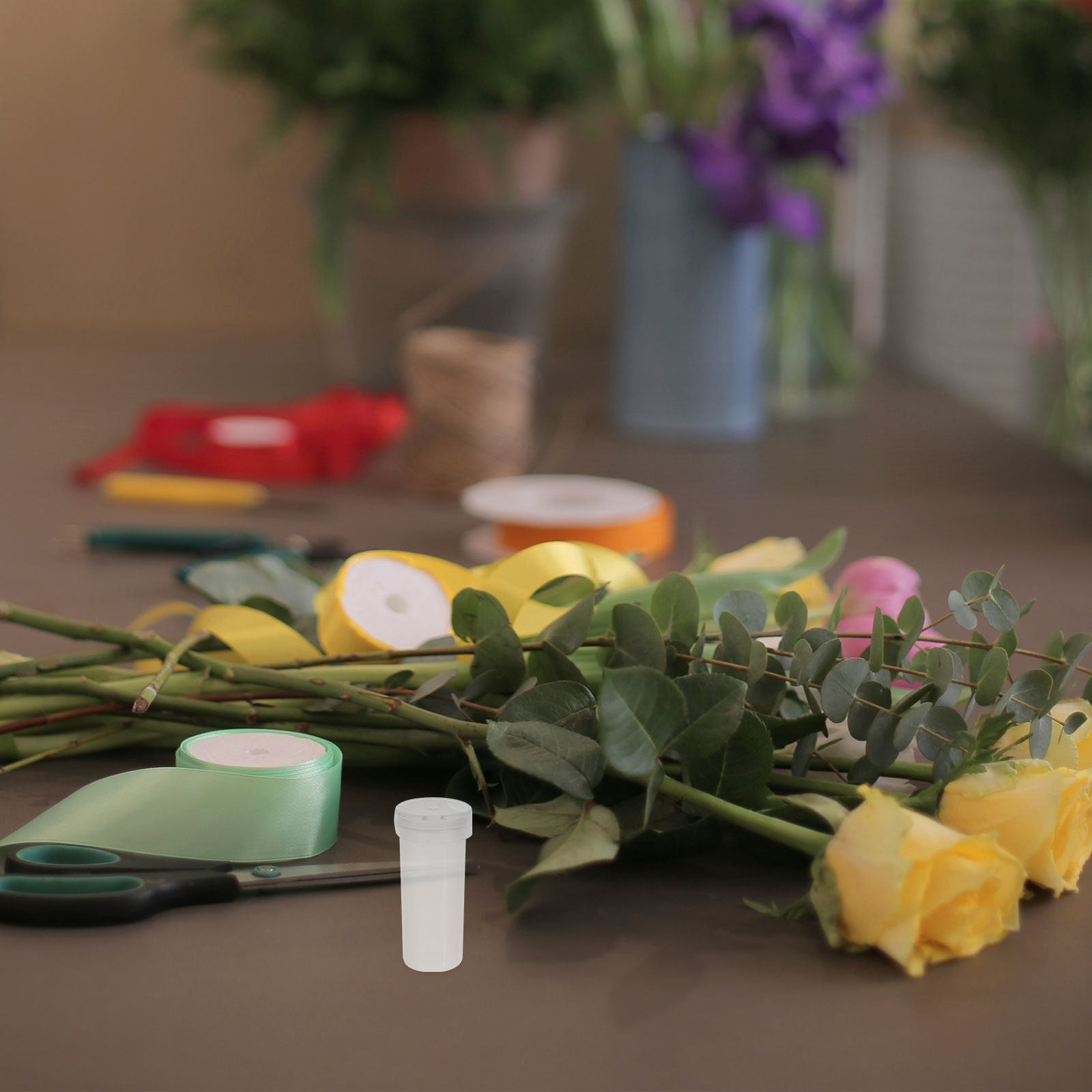 100 Pezzi di Sacchetti per Con - Propagation Station Vase recensione e prezzo