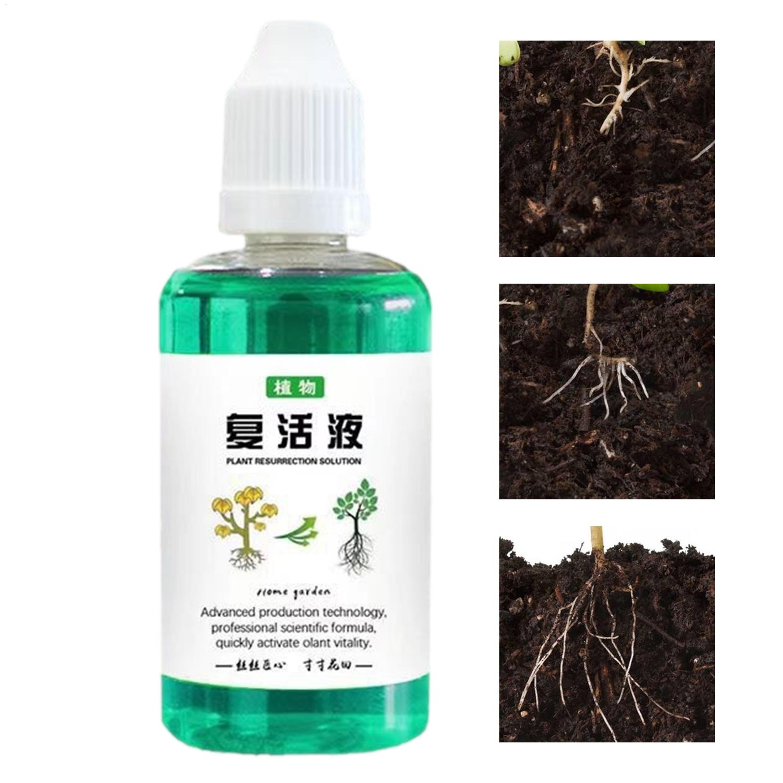 Stimolatore di Radici per Pian - Root Stimulator Liquid recensione e prezzo