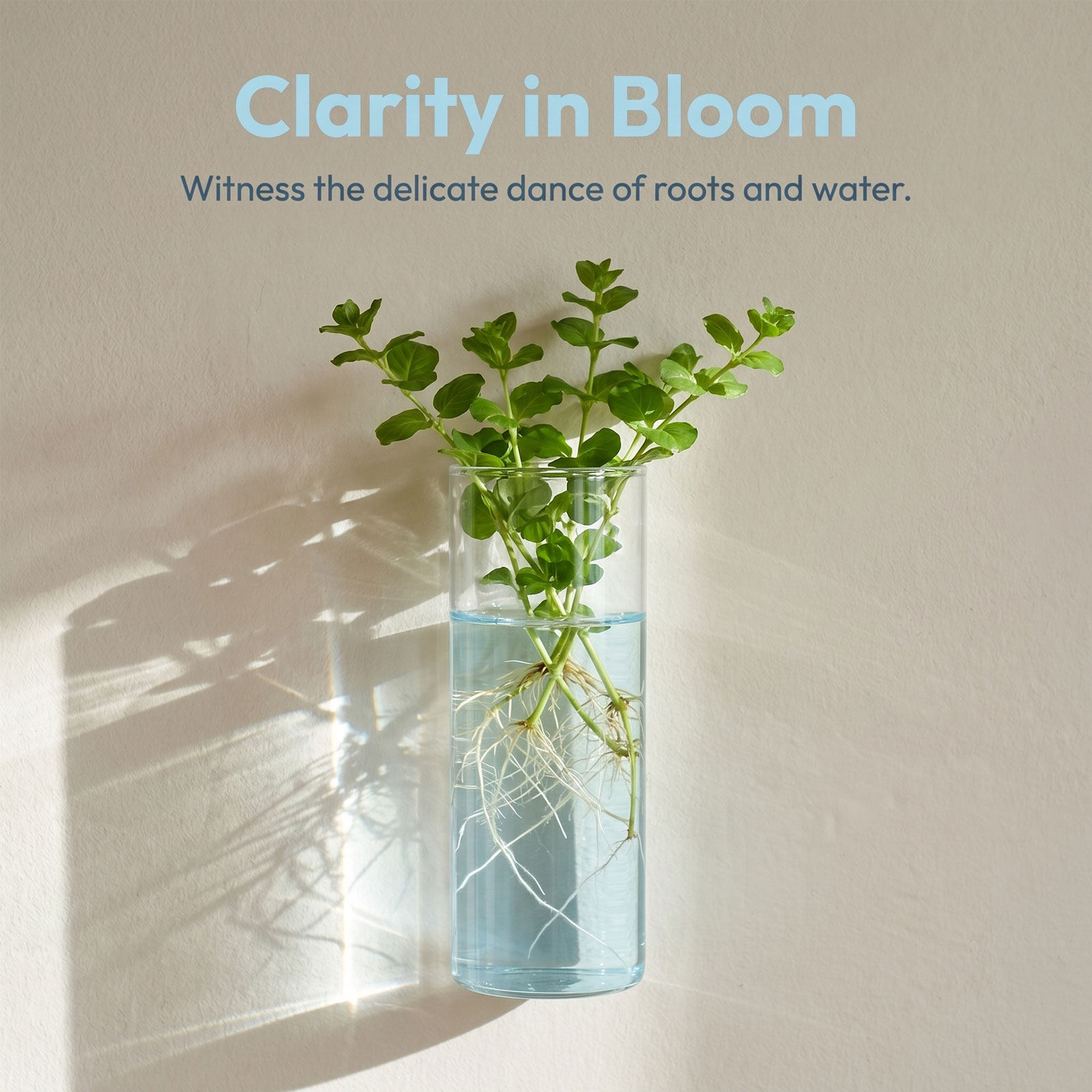 5 Pezzi di Vasi Cilindrici in  - Propagation Station Vase recensione e prezzo